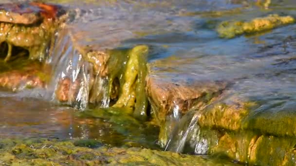 Ρυάκι ροή νερού με μικρό χάσμα — Αρχείο Βίντεο