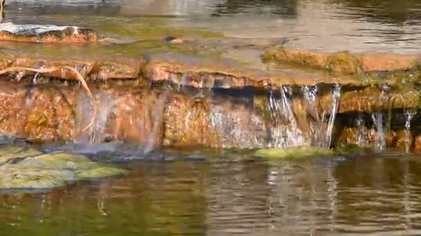 Corrente de água de ribeiro com pequena fenda — Vídeo de Stock