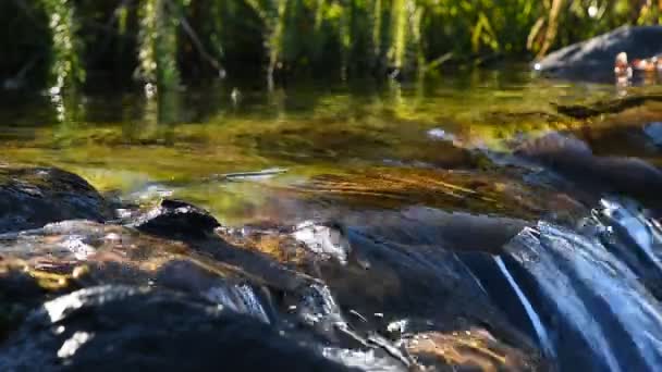 溪水流与小裂痕 — 图库视频影像