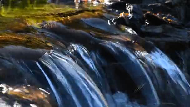 Brook water stream with small rift — Stock Video