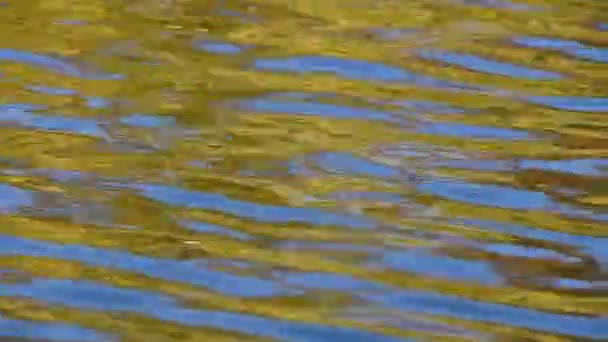 Швидко бігають жовті та сині брижі на воді — стокове відео