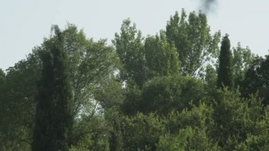 Statik ağaçlarının kapat