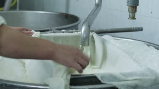 Processo di fabbricazione del formaggio — Video Stock