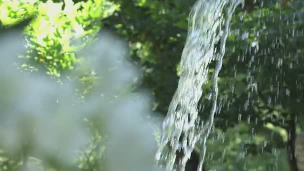 Flusso d'acqua natura estate — Video Stock