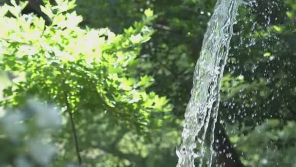 Su akışı doğa yaz — Stok video