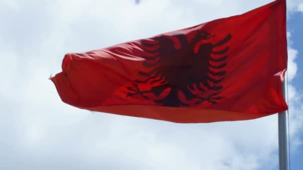 Albanese vlag zwaaien — Stockvideo