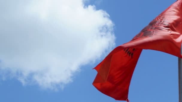 Albanische Flagge geschwenkt — Stockvideo