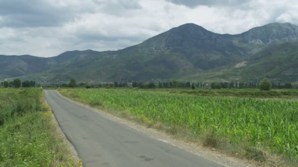 Rural road between planted fields — Stock Video