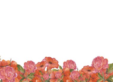 Suluboya botanik şakayık amber petunya çiçekleri