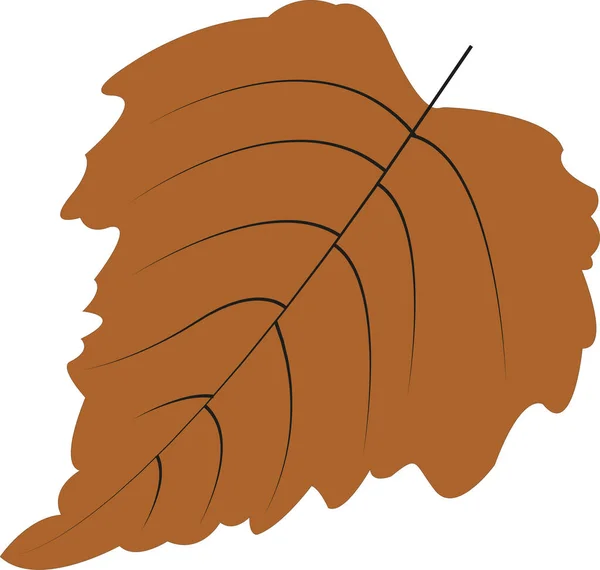 Ağaç vektör illüstrasyonundan sonbahar botanik yaprağı — Stok Vektör