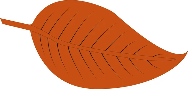 Illustration vectorielle de feuilles d'automne isolée sur fond blanc — Image vectorielle