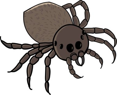 Beyaz arka planda izole edilmiş bir örümcek tasviri