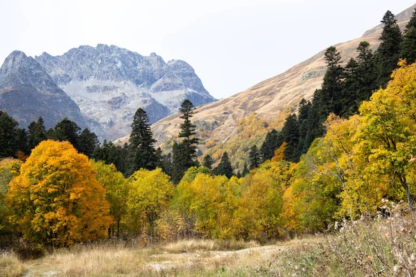 Rusya ve Kafkasya dağları sonbahar manzarası