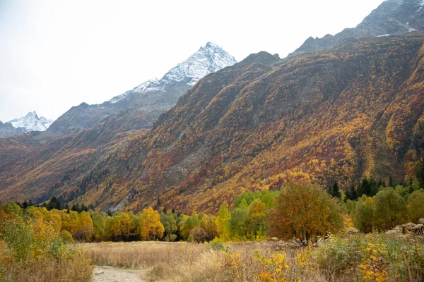 Rusya ve Kafkasya dağları sonbahar manzarası