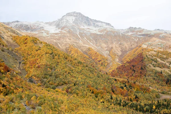 Rusya ve Kafkasya dağları sonbahar manzarası