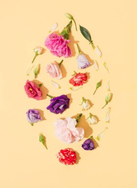 Sarı arka planda kırmızı, pembe ve menekşe çiçekleri sıralanmış. Taze, yumuşak bahar konsepti. Düz yatıyordu.