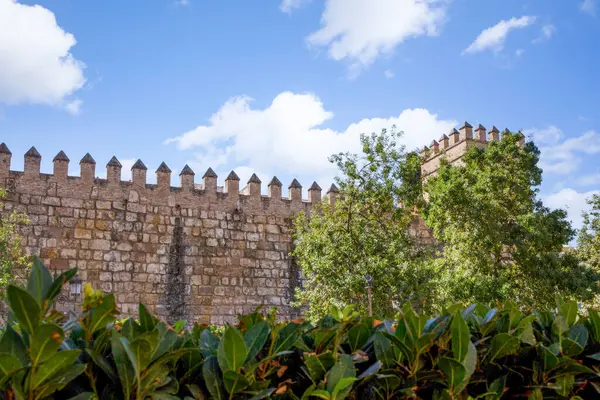 Parede Grandes Plantas Frente Castelo Europeu Dia Azul Ligeiramente Nublado — Fotografia de Stock