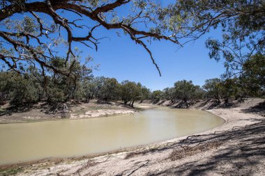 Darling River, Gundabooka National uzak batı N.S.W. Avusturalya