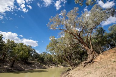 Darling River uzak batı N.S.W. Avusturalya