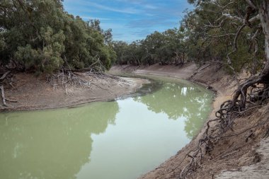 Darling River uzak batı N.S.W. Avusturalya