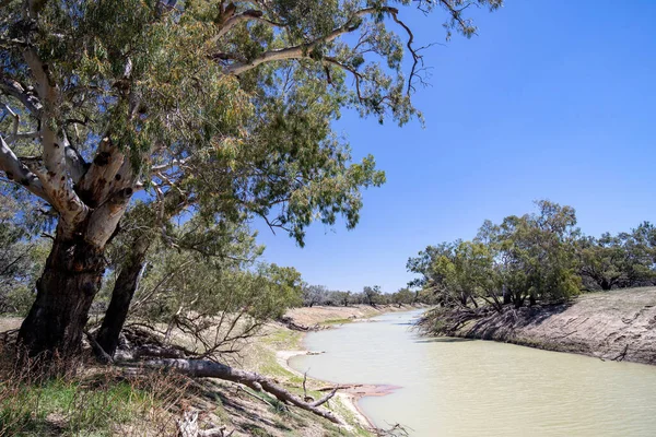 Darling River Ver Westelijk Australië — Stockfoto