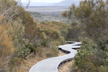 Kraliyet Ulusal Parkı 'nda yürüyüş pisti; Sydney Avustralya