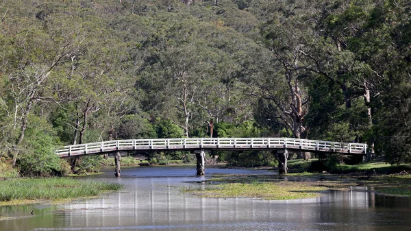 Houten Brug Koninklijk Nationaal Park Nsw Australië — Stockfoto