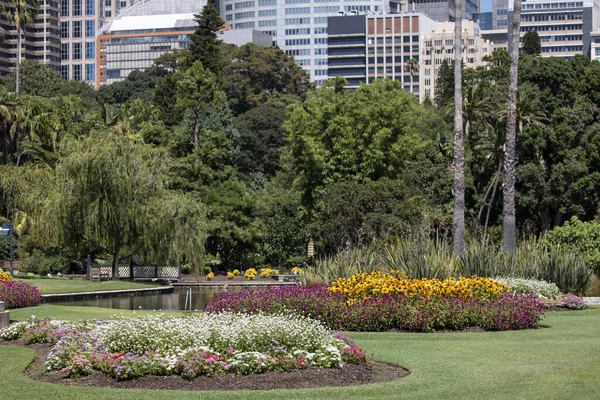 Lits Fleurs Jardin Dans Les Jardins Botaniques Sydney — Photo