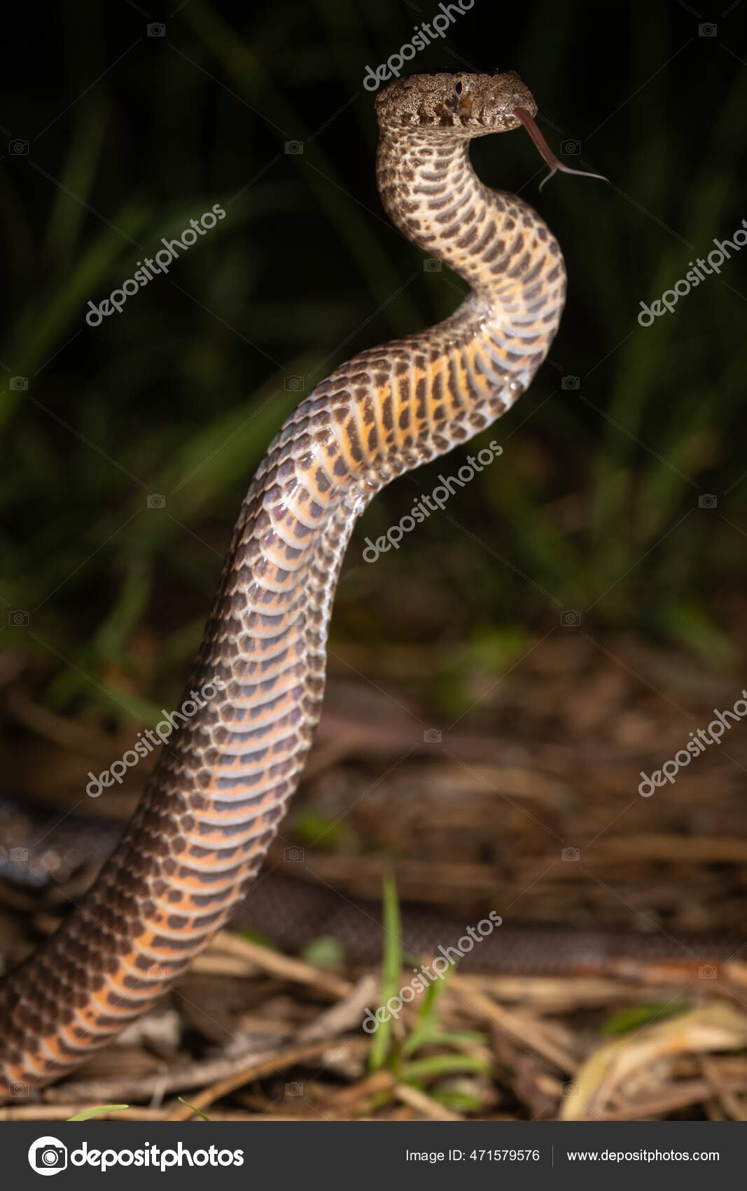 Jinsiy energiya Vitebskni tomosha qiling