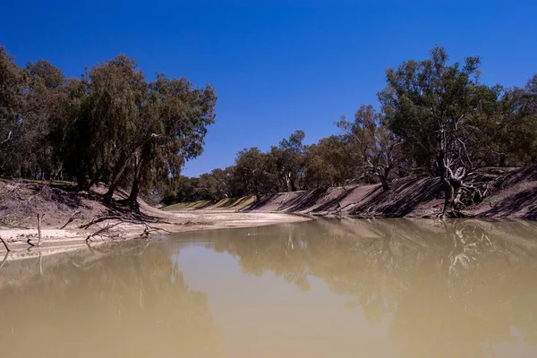 Darling River Ver Westelijk Australië — Stockfoto