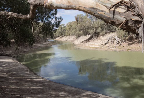 Darling River Het Verre Westen Van Nieuw Zuid Wales Australië — Stockfoto