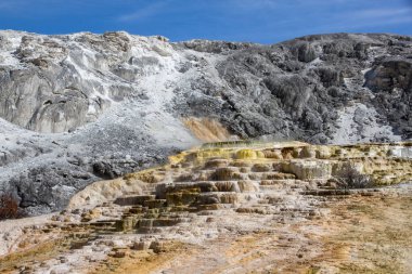 Mamut Kaplıcaları, Yellowstone Ulusal Parkı