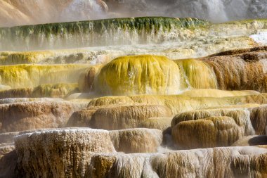 Mamut Kaplıcaları, Yellowstone Ulusal Parkı