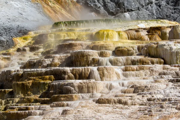 Mamut Hot Springs Parque Nacional Yellowstone —  Fotos de Stock