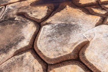 Tessellated kumtaşı kaya platformu Royal National Park, Sydney Avustralya