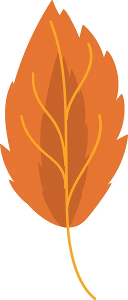 Maple Dry Orange Leaf Garden Eco Nature Vector Inglês Outono —  Vetores de Stock