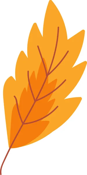Suszony Klon Pomarańczowy Liść Ogród Eko Wektor Przyrody Jesień Sezon — Wektor stockowy