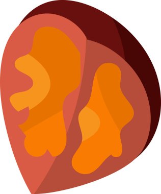 Ceviz rengi sonbahar doğal beslenme vektörü. Mevsimlik çiğ ve olgun çerez. Ağaç biyo ürünü, hasat ve diyet organik besin, özet düz çizgi film çizimi