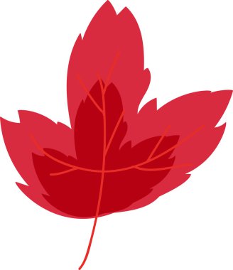 Kurumuş kırmızı yaprak doğa vektörü. Sonbahar mevsimlik yeşillik ormanı ya da parkın meşe ağacı kurumuş dal parçası, çevre dekorasyonu. Ekoloji ve botanik bitkisi düz çizgi film çizimleri