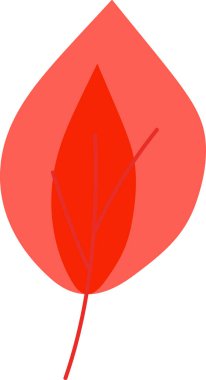 Kurumuş kırmızı yaprak doğa vektörü. Sonbahar mevsimlik yeşillik ormanı ya da parkın meşe ağacı kurumuş dal parçası, çevre dekorasyonu. Ekoloji ve botanik bitkisi düz çizgi film çizimleri