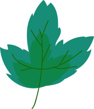 Büyüyen akçaağaç yeşil yaprak bahçesi doğa vektörü. Çiçekli mevsim ormanı ya da parktaki odun yetiştirme dalı parçası, çevre dekorasyonu. Bahar ya da yaz ekolojisi ve botanik bitki örtüsü