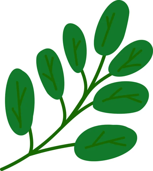 Вирощування Лози Або Сорбції Зеленого Листя Садового Екологічного Природи Вектор — стоковий вектор