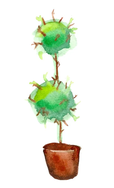 Акварельне дерево в горщику — стоковий вектор