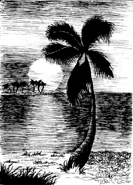 Palme auf Insel — Stockvektor