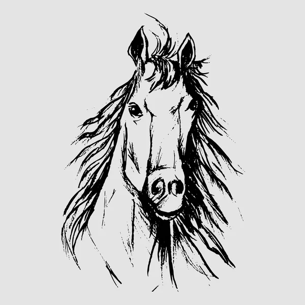 Esbozo de caballo — Archivo Imágenes Vectoriales