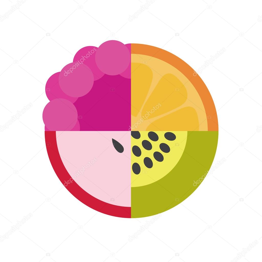Vector fruit illustration from apple, berry, orange and kiwi
