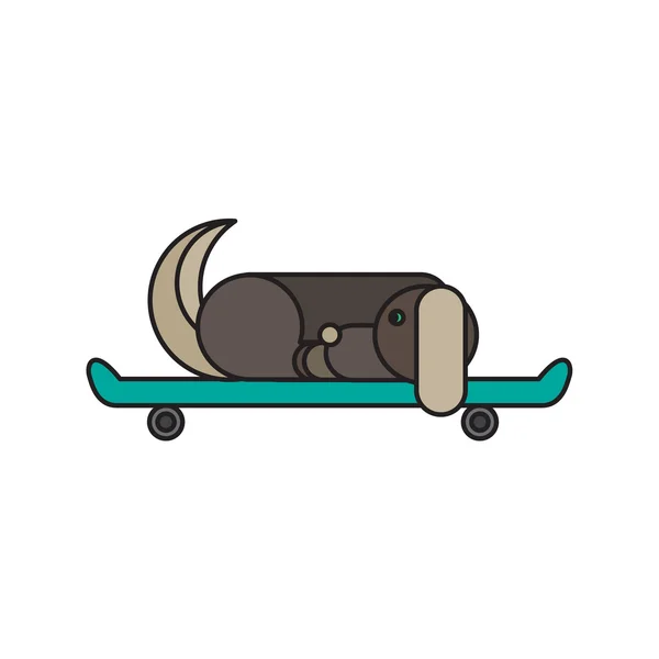 Hond zittend op een skateboard — Stockvector