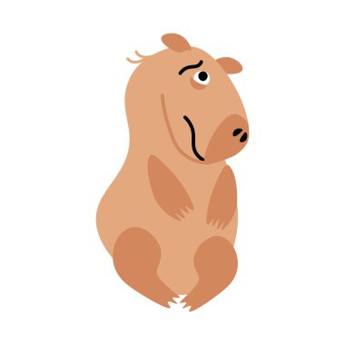 Ağızlığındaki acı dolu ifadeyle Capybara 'yı kızdırdı. Endişeli bataklık kobayı kemirgeni. Tropik bataklık hayvanı memelisi. Düz çizgi film vektörü beyaz arkaplanda izole edildi