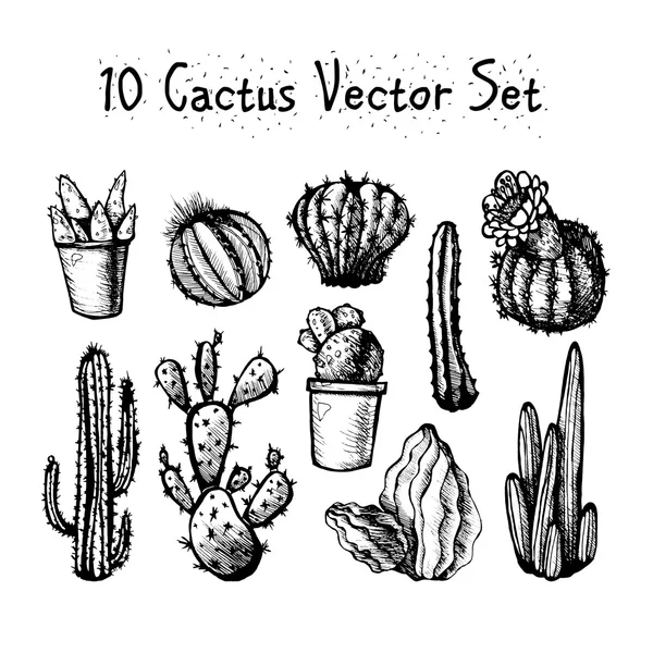 Conjunto de cactos isolados desenhados à mão — Vetor de Stock