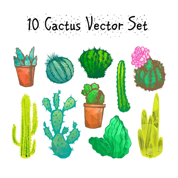 Conjunto de cactos isolados desenhados à mão — Vetor de Stock